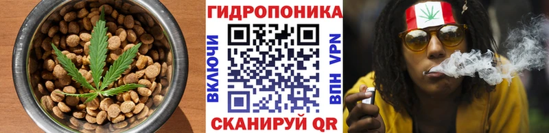 Cannafood конопля  где купить наркоту  Приозерск 